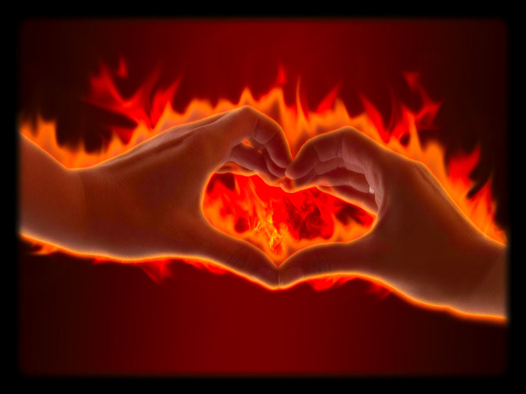 LOVE FIRE love fire: