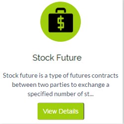 Stock Future