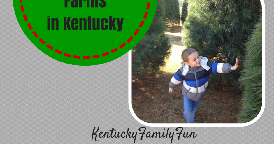 christmas memories tree farm lexington ky christmas memories tree farm lexington ky