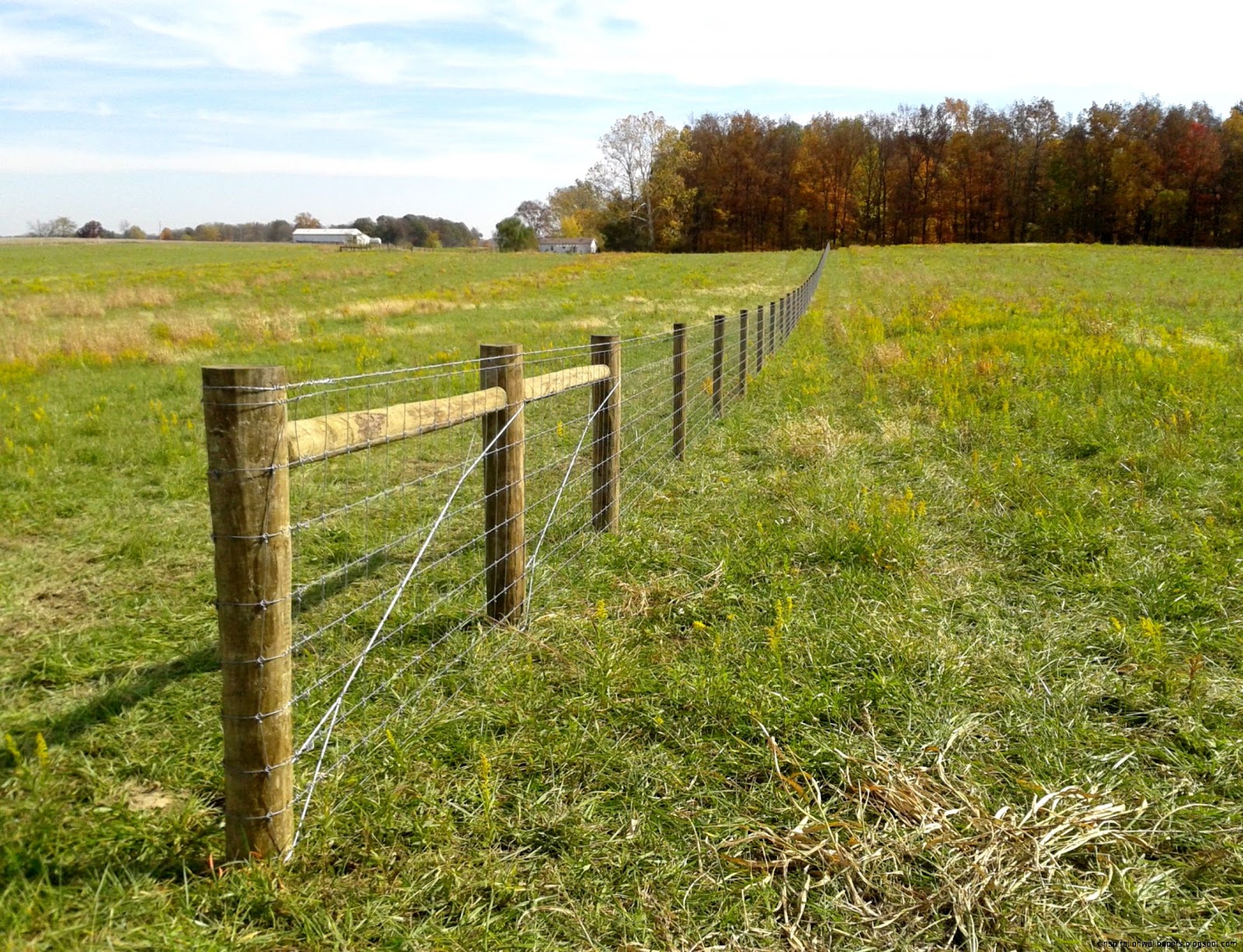 Woven Wire Livestock Fencing Woven Wire Livestock Fencing