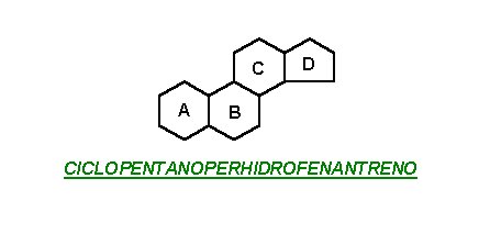 Ciclopentanoperhidrofenantreno esteroides