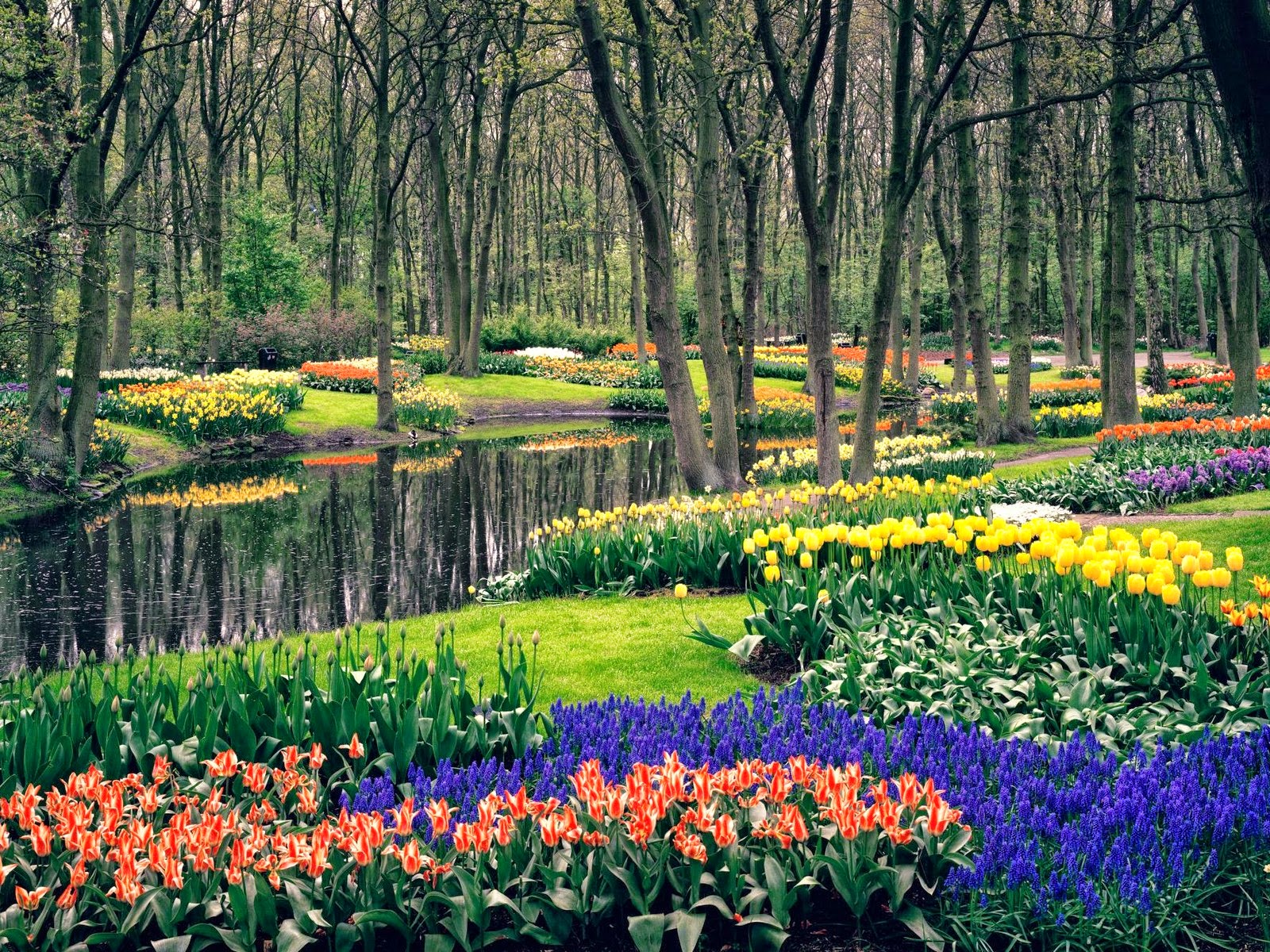 de keukenhof
