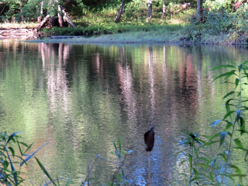 Pere Marquette River