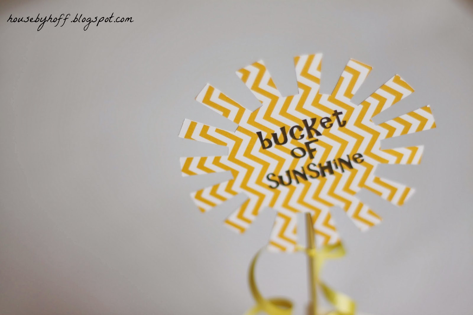 Bucket of Sunshine {Great Gift Idea!} House by Hoff