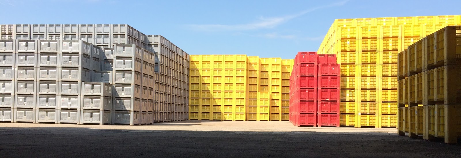 Patate e Cipolle in Qual è l'uso sicuro dei bins