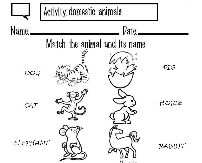 Mi cuadernillo de inglés Match the animal and its name