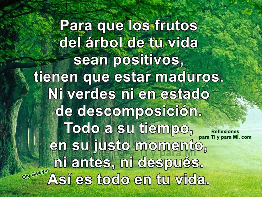 Reflexiones para TI y para MÍ * Para que los frutos del árbol de tu