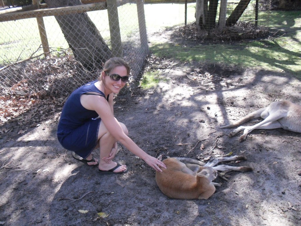 Kangaroo Song