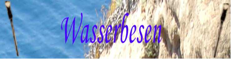 Wasserbesen