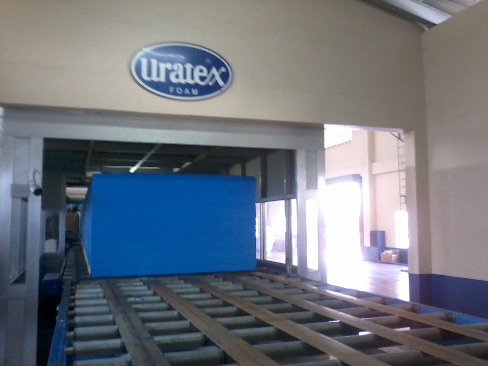 Purple Plum Fairy Uratex Plant Tour A Peek Inside the Uratex Plant