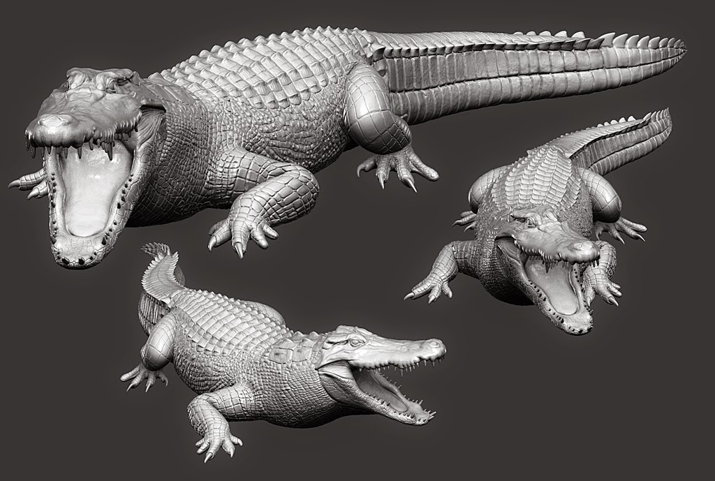 ALLIGATOR