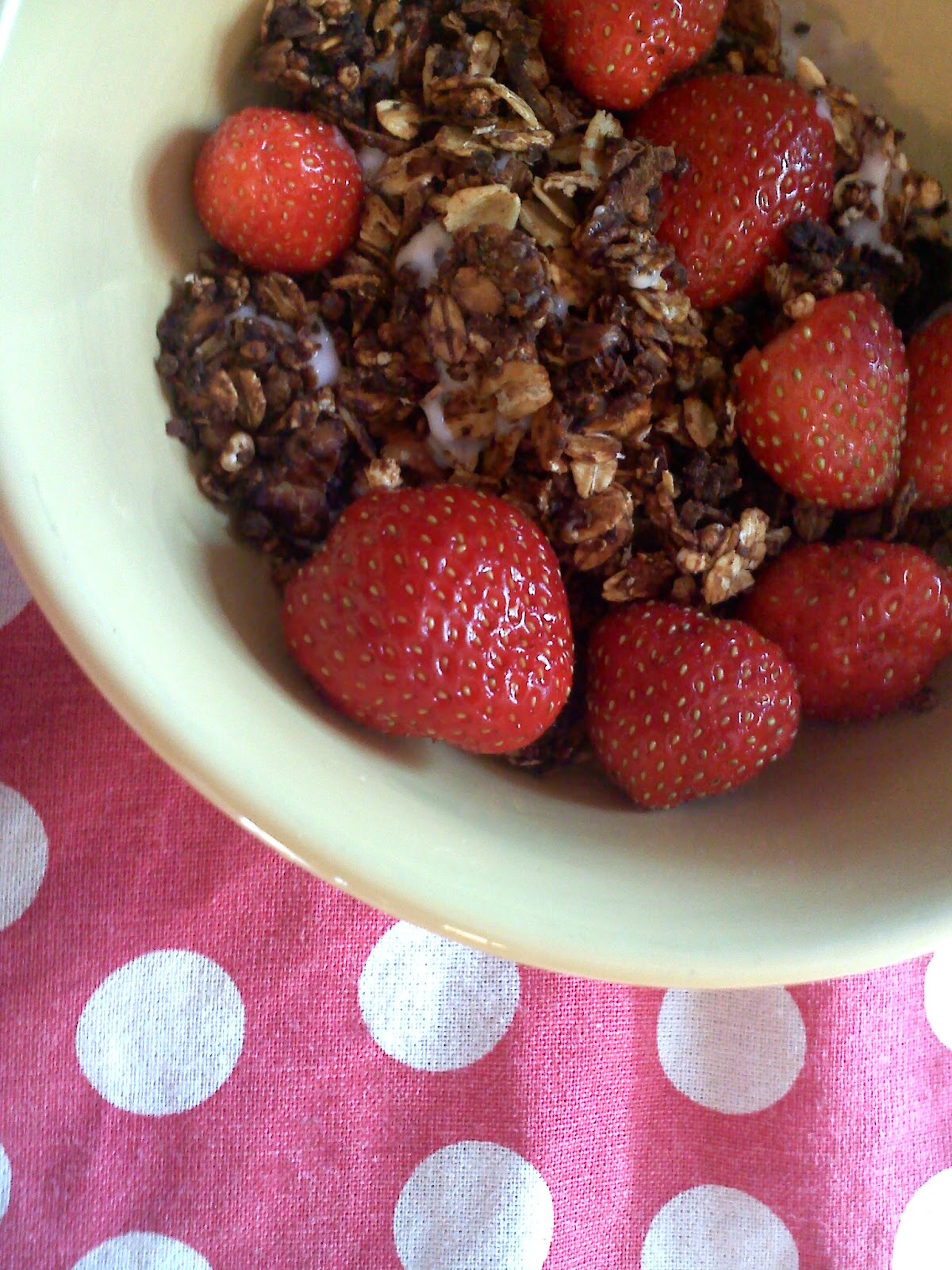 Choice Sustenance Millet & Oat Granola