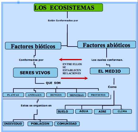 Que aceite de la psoriasis sobre la cabeza