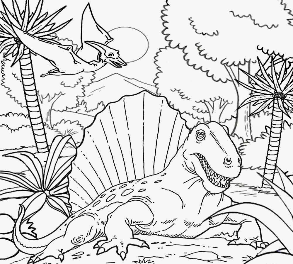 Free Coloring Pages Invertebrate Coloring Pages