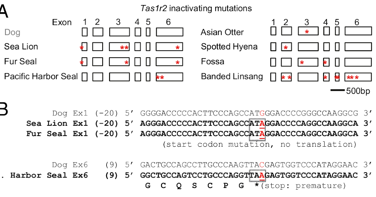 ...And You Will Know Me By The Trail of Papers Paper trail day trip