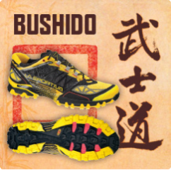 Bushido