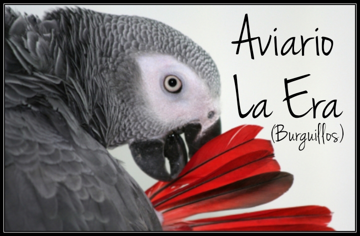 Aviario la Era(Burguillos)