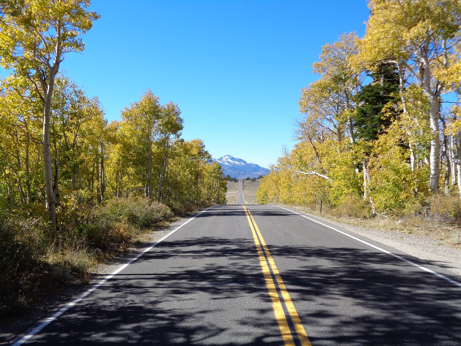 Autumn on State Route 89