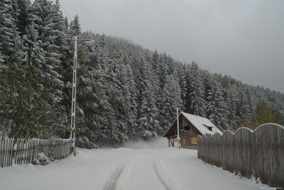 peisaj de iarna Bran Moeciu winter scene