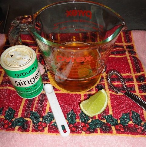 Vegans Eat Yummy Food Too!!!: Christmas Drink #6 - Sparkling Gingered Apple Juice