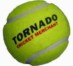 Heavy Cricket Tennis Ball