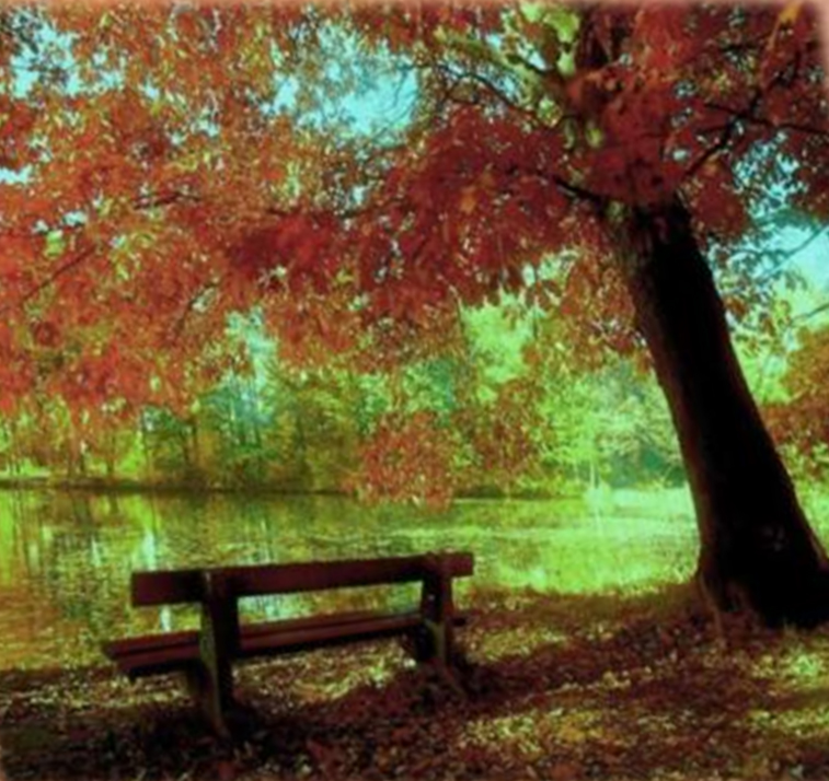 Scuola E Dintorni Parlando D Autunno