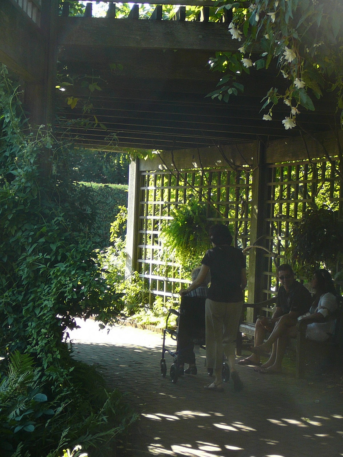 Accessible Gardens for All: COMPONENTS OF ACCESSIBLE GARDENS