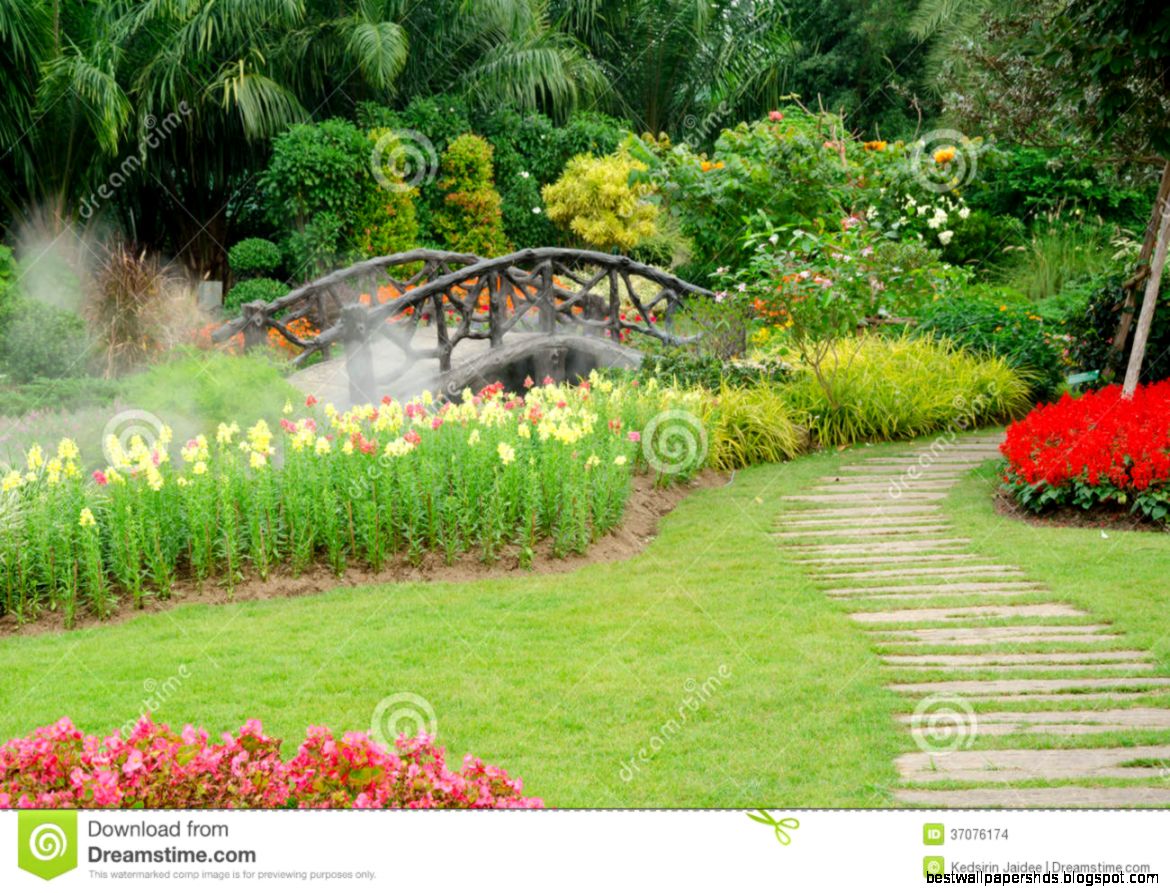 Colorful Flowers In Beautiful Nature ParkThailand Stock Images Colorful Flowers In Beautiful Nature ParkThailand Stock Images