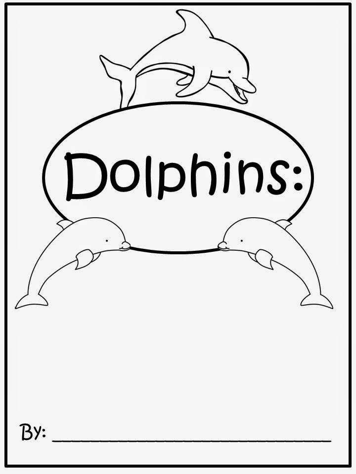 Short essay on dolphin image