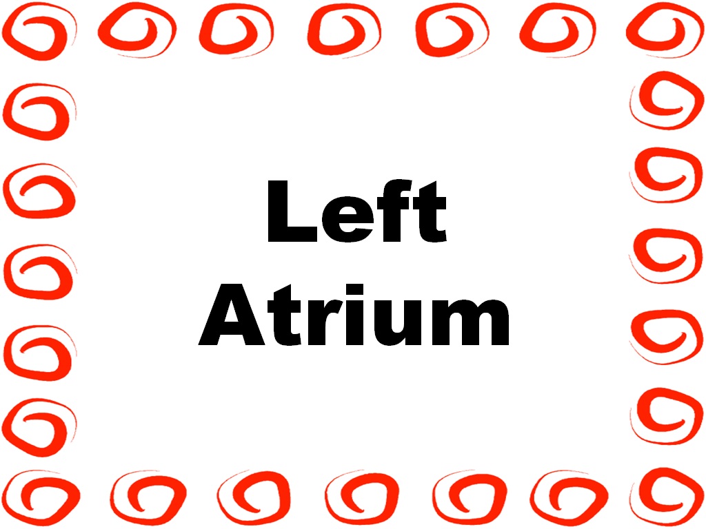 Student Survive 2 Thrive Trace a Drop of Blood Through the Body