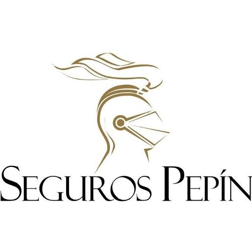 SEGUROS PEPÍN