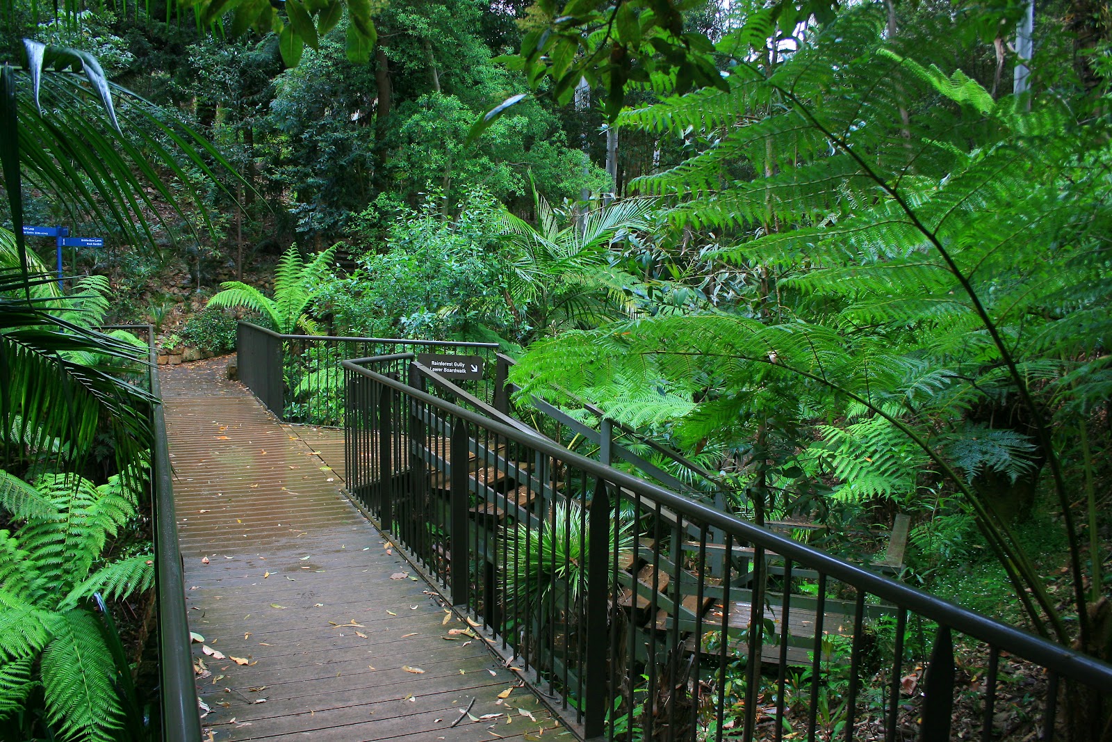 Geoff Thompsons Blog More of Canberra Botanic Gardens