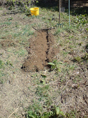 Grillkamin Gas Abdeckplatte Schalungsstein