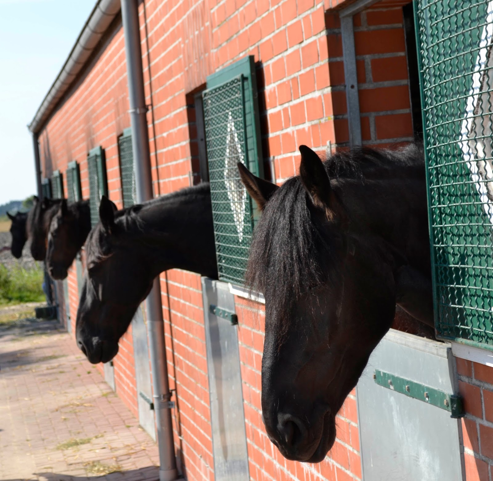 Kathrynsky S Page 47 Chan 10367073 Rssing Com