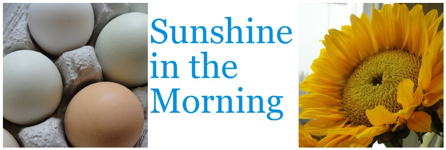 Sunshine in the Morning