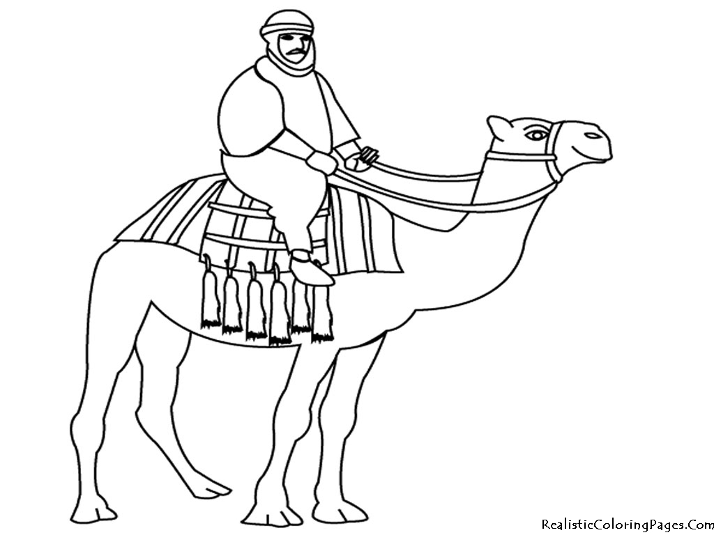 Camel Coloring Pages | Realistic Coloring Pages