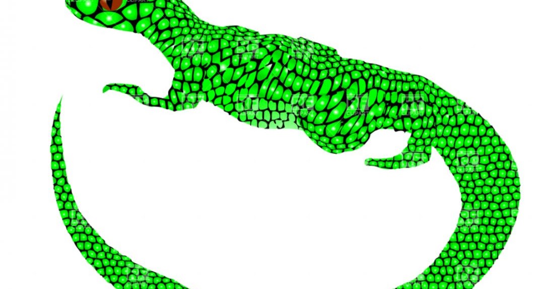 Green Lizard Clipart | Amazing Wallpapers