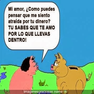 Imagenes graciosas y chistosas para descargar de risa - imagenes chistosas de mucha risa