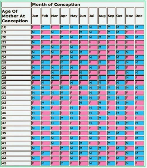 Age Of Mother At Conception Chart