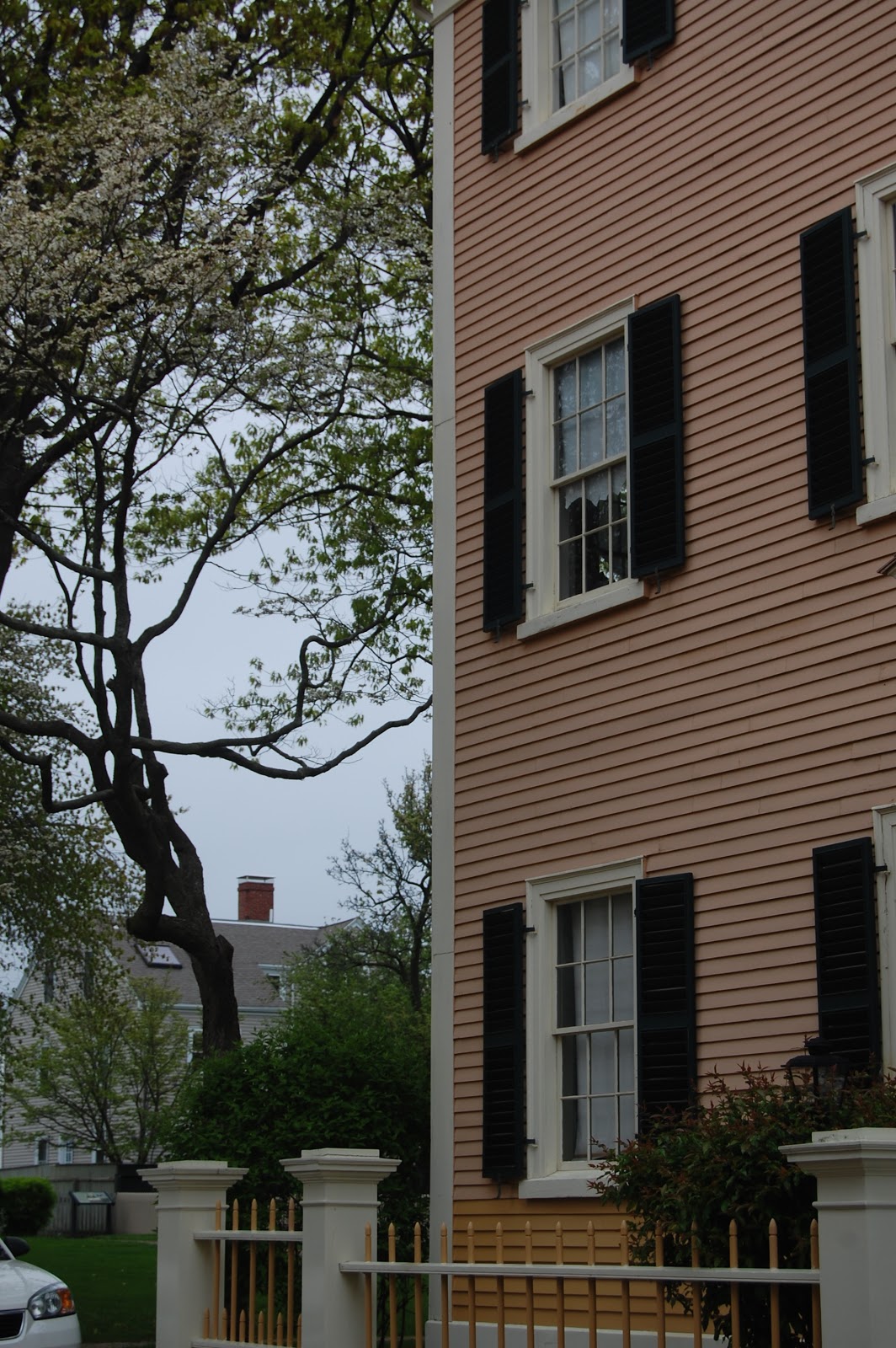 Sprouts Salem, Massachusetts Flowers Around Town