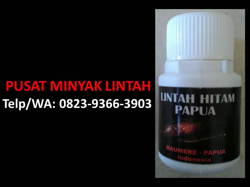 Jual Minyak Lintah Makassar, Call-WA:0823.9366.3903 Penjual Minyak Lintah Di Makassar