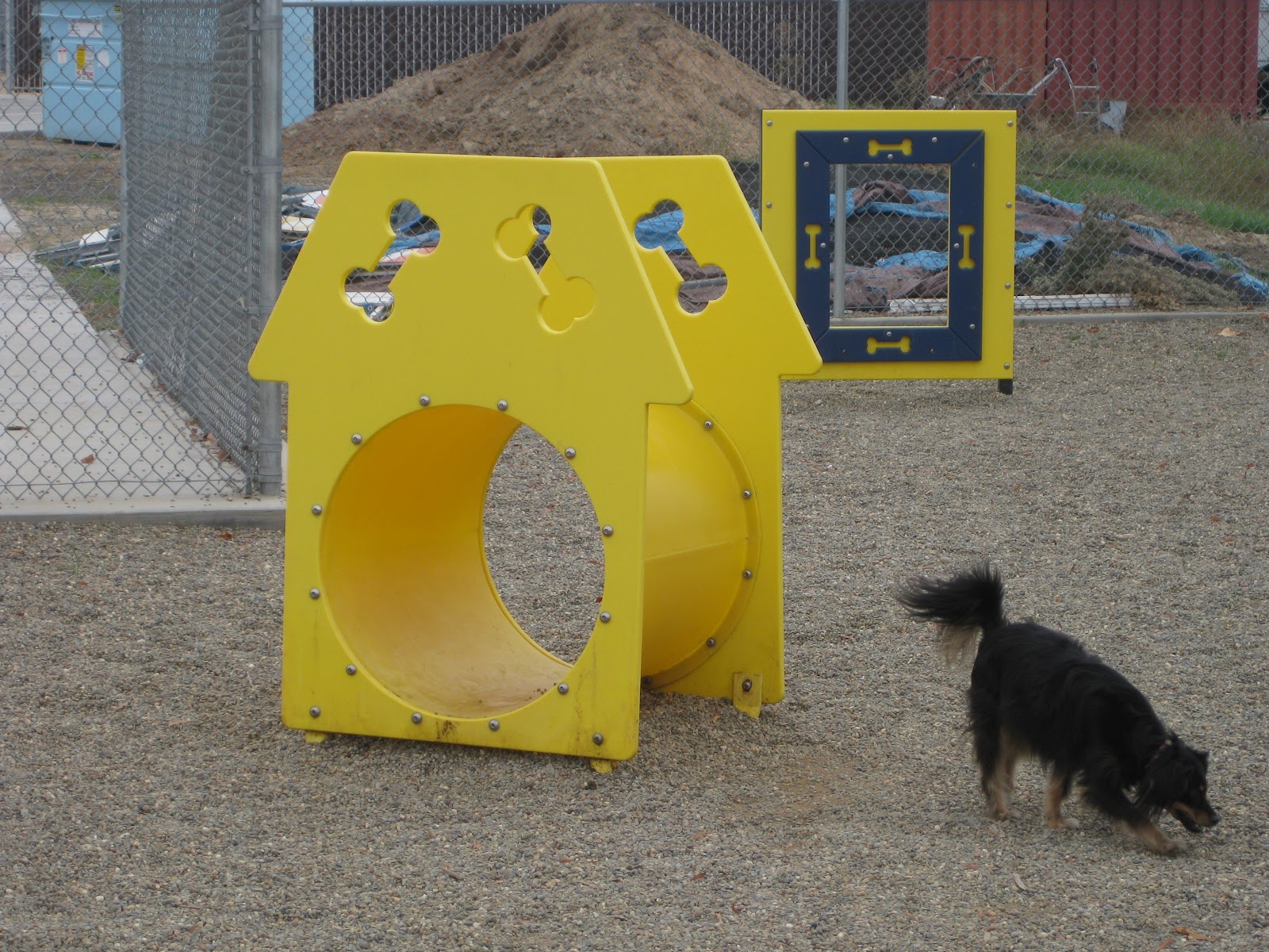 Dog Play Equipment