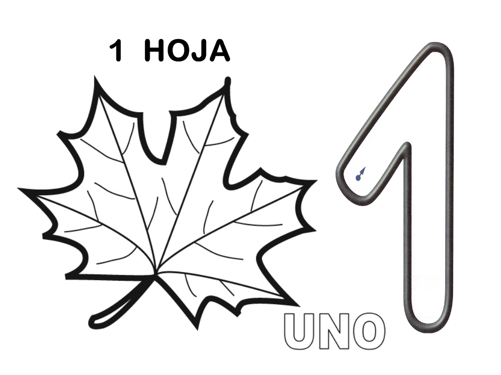Infantil 4 Anos Numeros Para Colorear