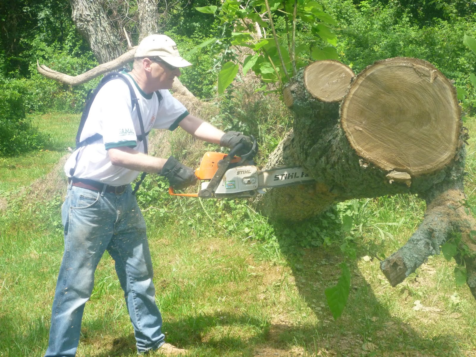 Alabama Tornado Response