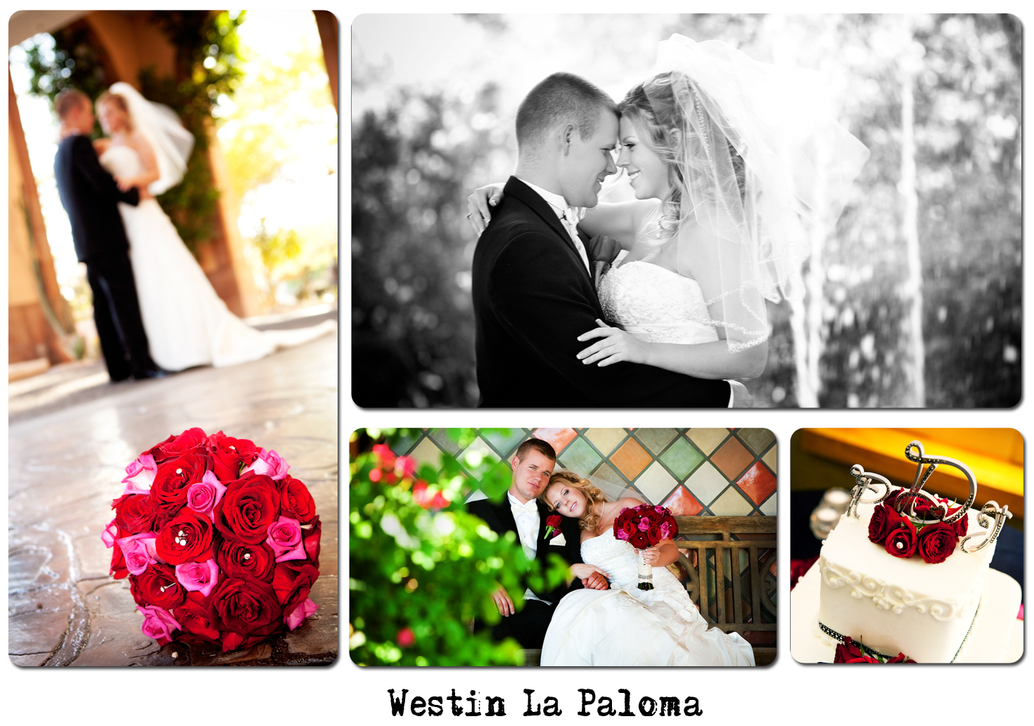 Tucson Wedding Photographers, Tucson Wedding Photographer, Wedding
