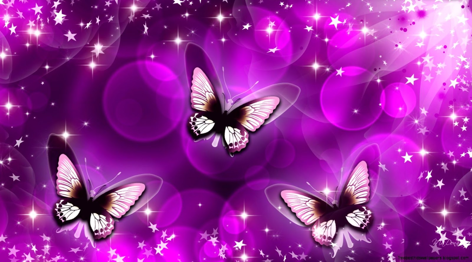 Beautiful Purple Butterfly Beautiful Purple Butterfly