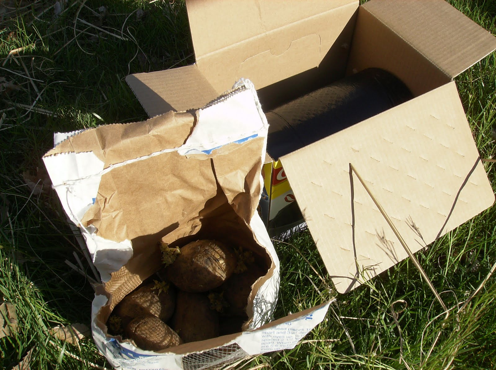 The Rusted Vegetable Garden