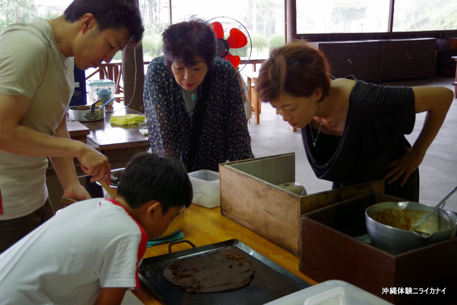 体験/観光 サトウキビ 収穫 黒糖 夏休み 宿題 自由研究