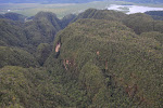 Pristine Forest Batan Toru Forest Block