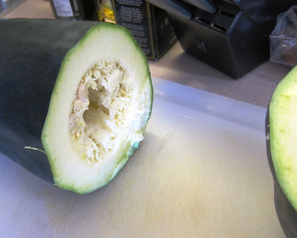 Doves Today Attack of the Giant Zucchini Monster.